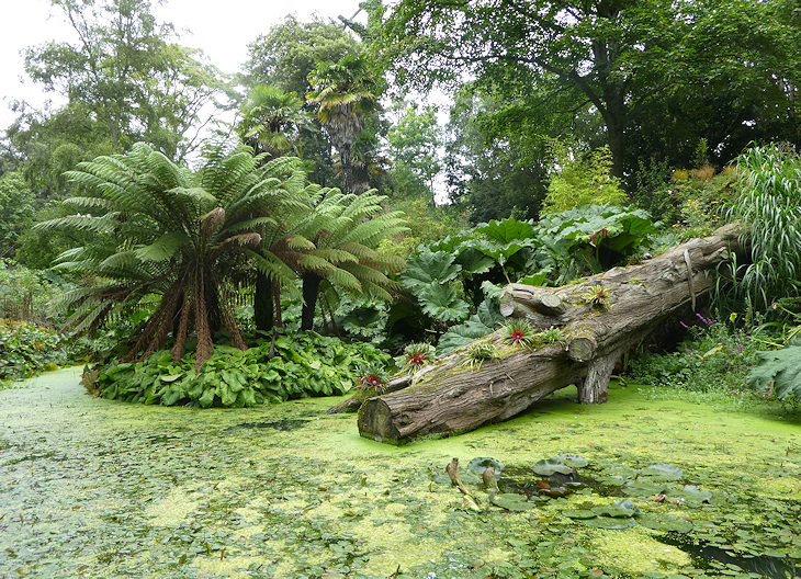 Abbotsbury Subtropical Gardens 1