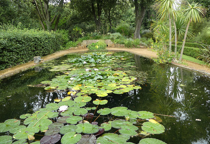 Abbotsbury Subtropical Gardens 4