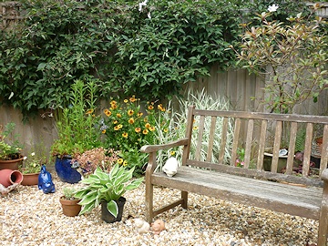 From Kay Moore’s Garden