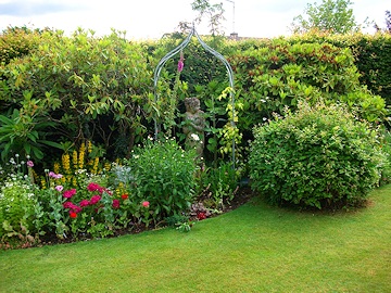 Kay Moore's Garden