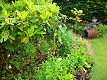 Kay Moore's Garden