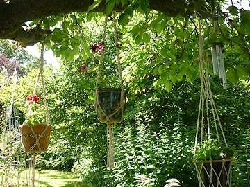 Kay Moore's Garden