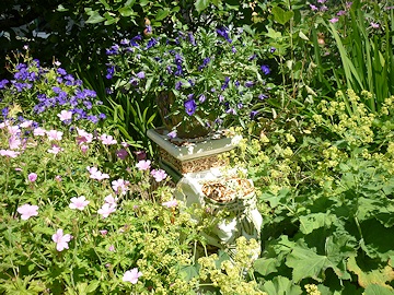 Kay Moore's Garden