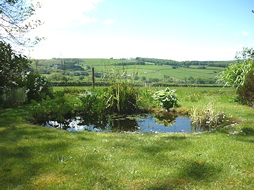 From Martin and Brenda Burt’s garden