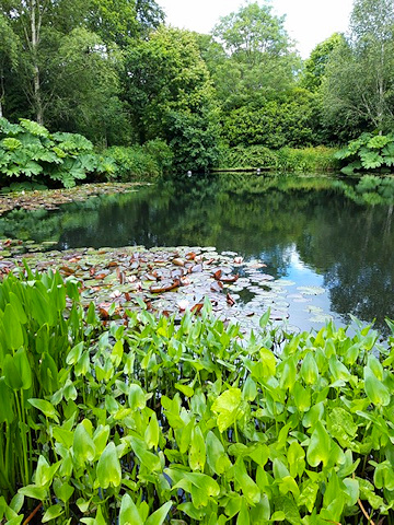 RHS Rosemoor