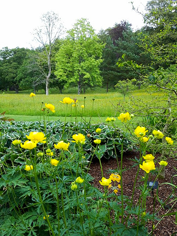 RHS Rosemoor