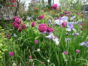 Lawrence and Stephen Pine's Garden