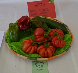 Salad Vegetables