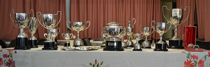 Summer Show Trophies