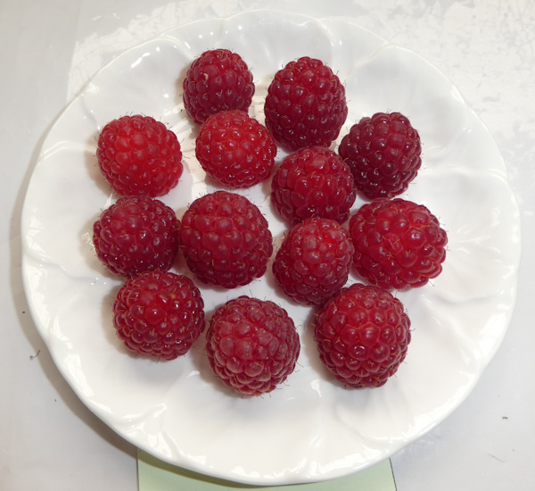 Soft Fruit (Autumn Fruiting Raspberries)