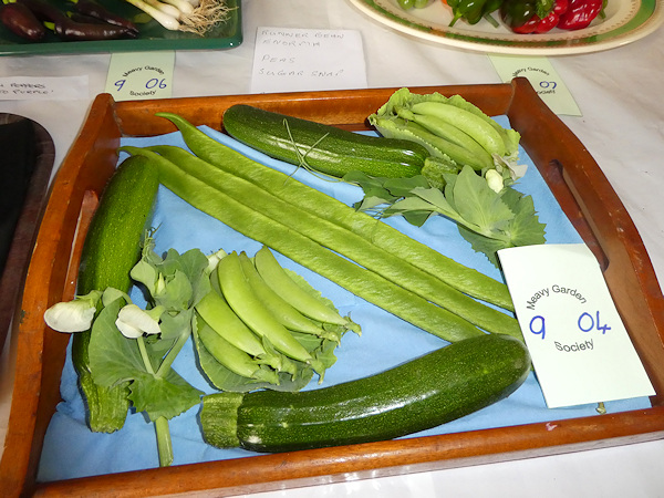 Salad or Vegetables