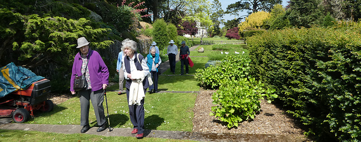 Through the Rose Garden