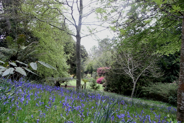 Trelissick Garden