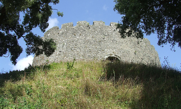 Trematon Castle Gardens