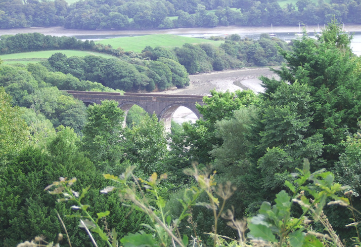 View from Trematon Castle Gardens