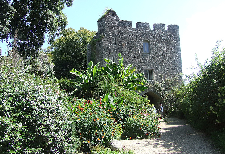 Trematon Castle Gardens