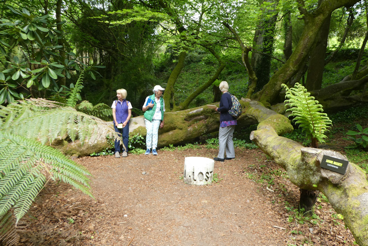 Trengwainton Garden - are we lost already