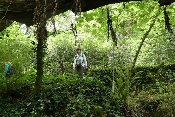 Trengwainton Garden - from a cool cave