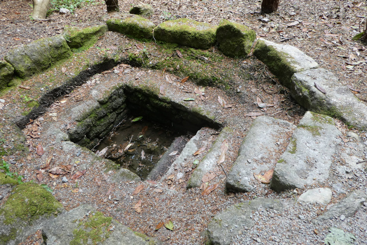 Trengwainton Garden - way down into the underworld