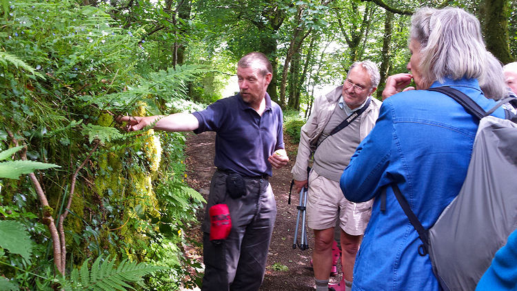 Meavy Garden Society on a wild flower walk