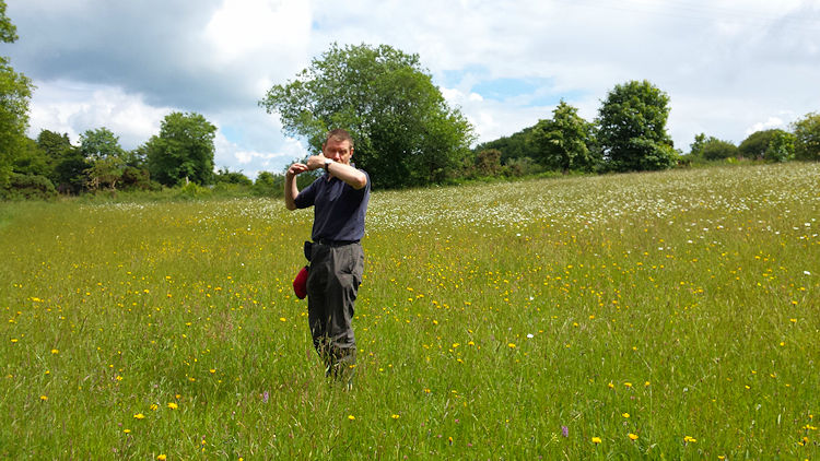 Meavy Garden Society on a wild flower walk