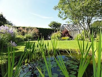 From Janet Pattison’s Garden