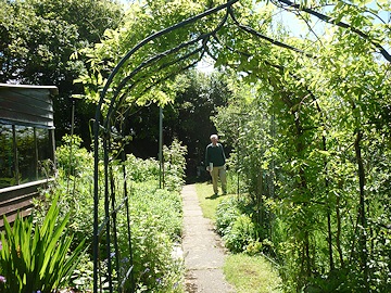 From Martin and Brenda Burt’s garden