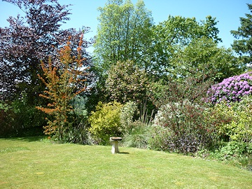 From Martin and Brenda Burt’s garden