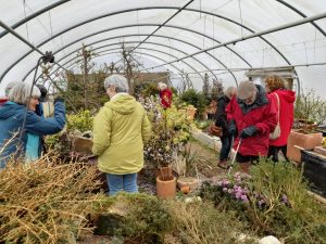 Members exploring one of the polytunnels at Buckland Cottage Nursery
