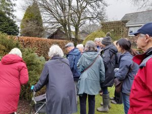 MGS members looking at a Buxus sempervirens 'rosemarinifolia' at Dippers garden