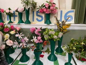 Class 15 entries
