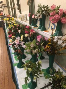 Spring Fun Show entries