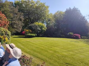 Well-kept lawn and Spring colour