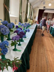 Hydrangeas